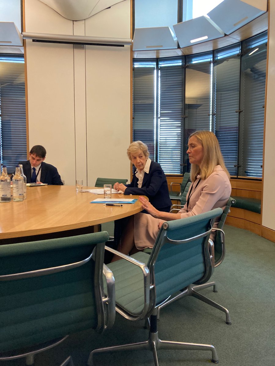 What people want is for medicine to be humanised, what we have is medicine that is industrialised - my message to the First Do No Harm APPG this morning @SarahGreenLD @natalieben @FeryalClark @EmmaHardyMP @SharonHodgson