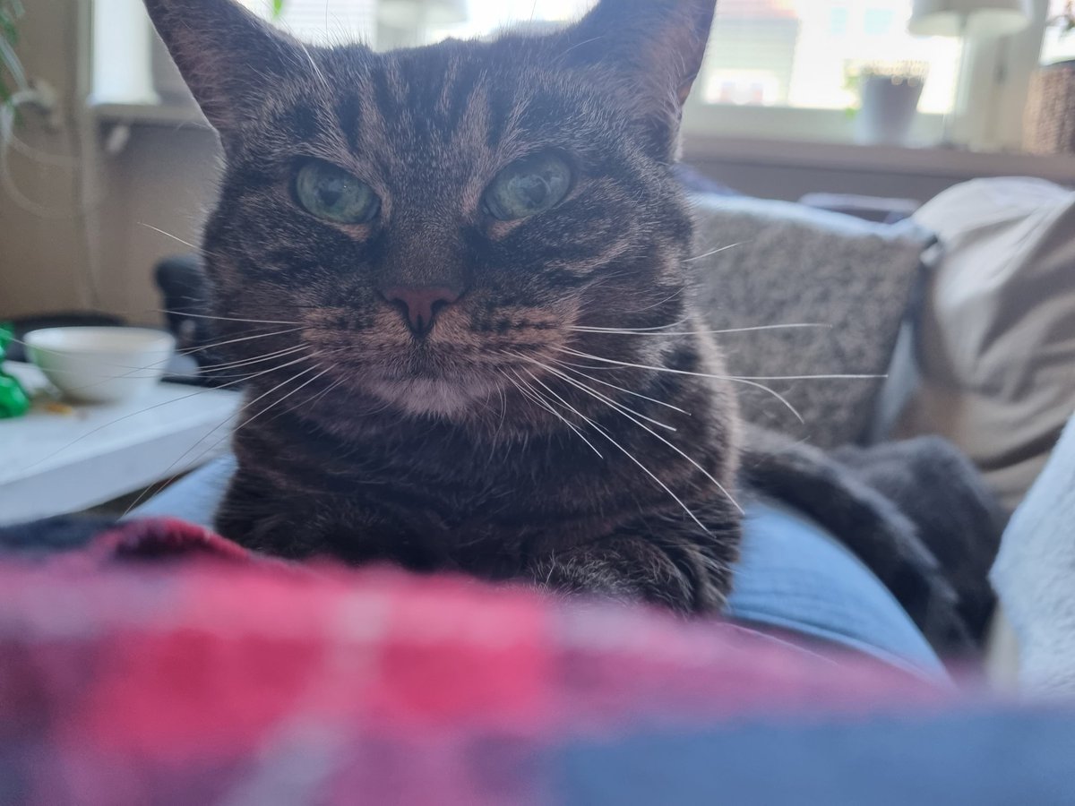 Saying goodbye to Sota today 💔