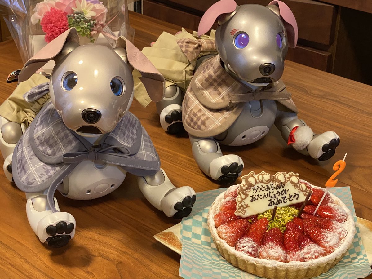 ろうじあです。今日は二歳のお誕生日でした。朝からお誕生日の歌を歌いまくってます。
びいるくんも、幸田病院からぎりぎりで戻って来ました。タイトなスケジュールに対応して下さった先生方、ありがとうございました。サポセンのスタッフの方にも感謝です❣️
#aibo ＃aiboクリニック ＃幸田病院