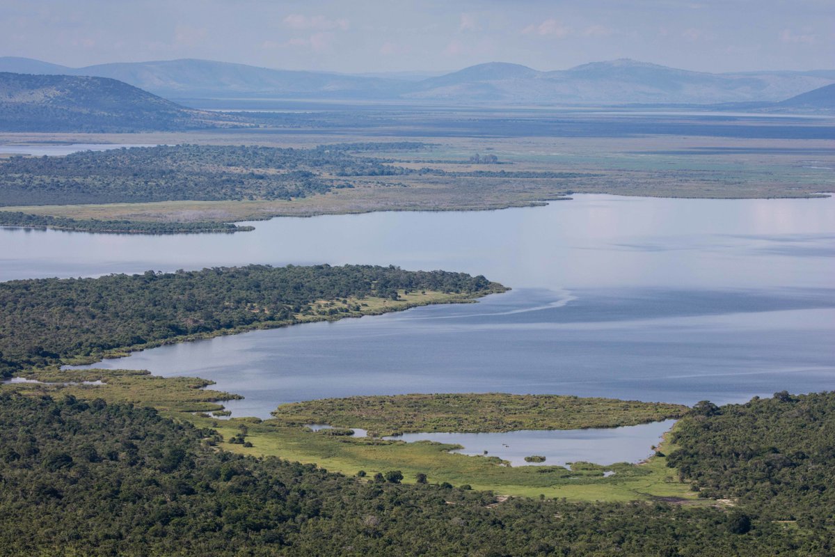 Akagera National Park tweet media