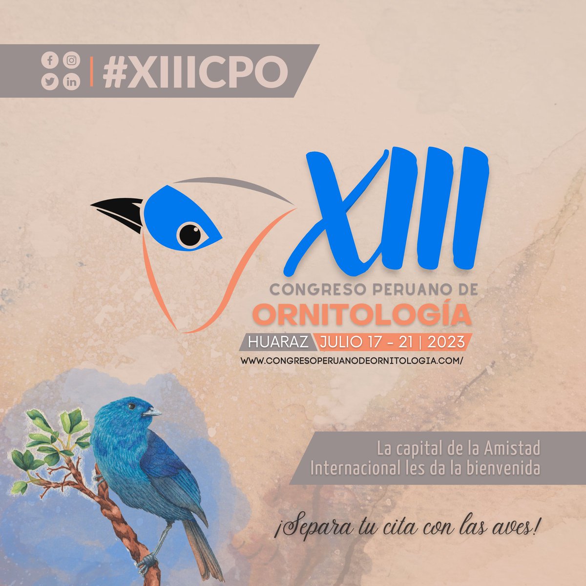 congresorniperu's tweet photo. Separa esta cita 🦉
📆 17 al 21 de julio del 2023
📍Huaraz, Áncash
Síguenos en todas nuestras redes sociales y no te pierdas ninguna de nuestras noticias.
El evento más grande de la ornitología peruana está de vuelta 🥳
Ilustración: Lesslie Martinez
#XIIICPO
#huarazperu https://t.co/HdgftHHaln