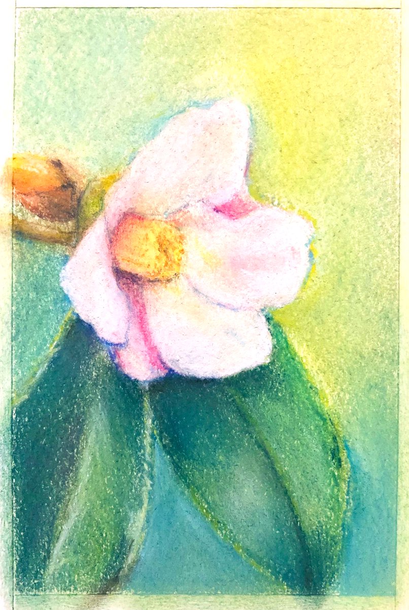 初めてのパステル画