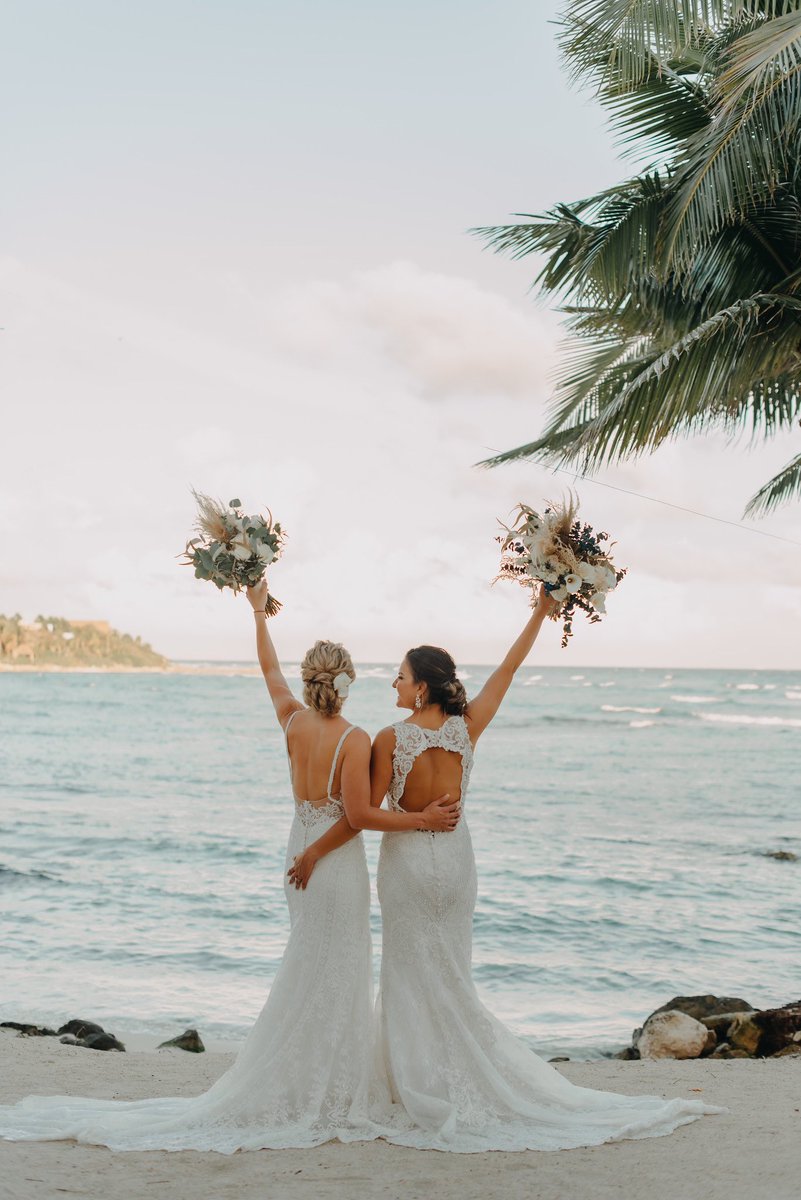 Laura Castañeda tweet media