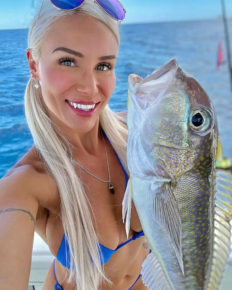 Pazy Fish tweet media