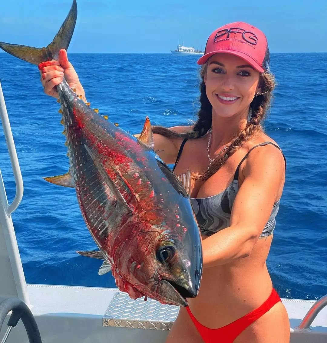 Pazy Fish tweet media