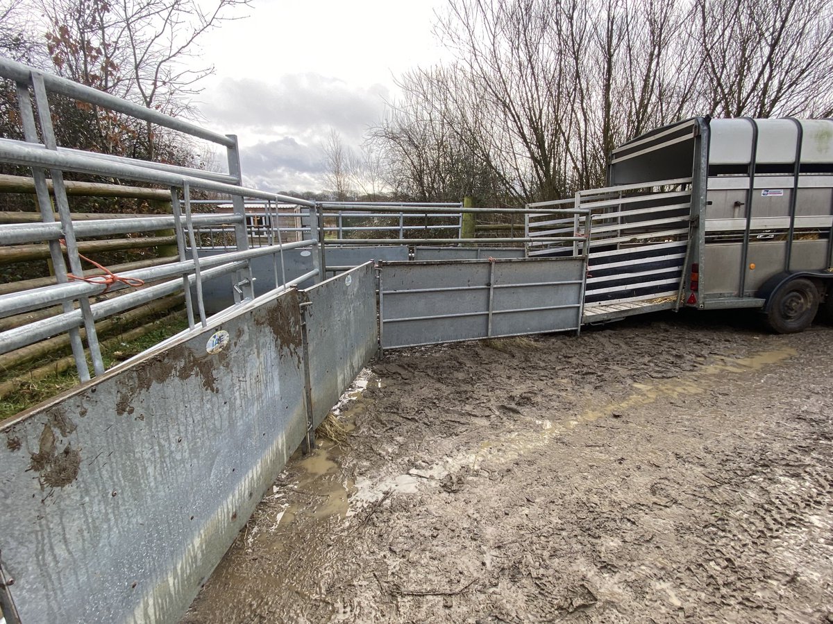 Derek Gow tweet media