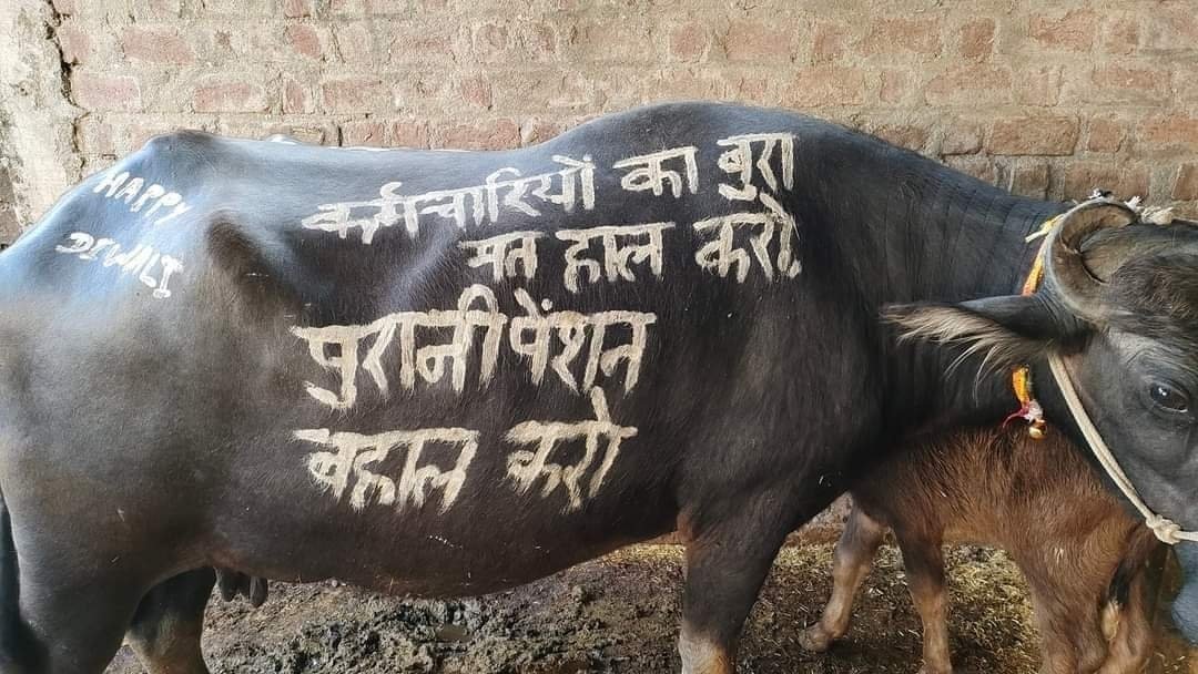 मैं भी हकदार OPS का, राम शिंदे tweet media
