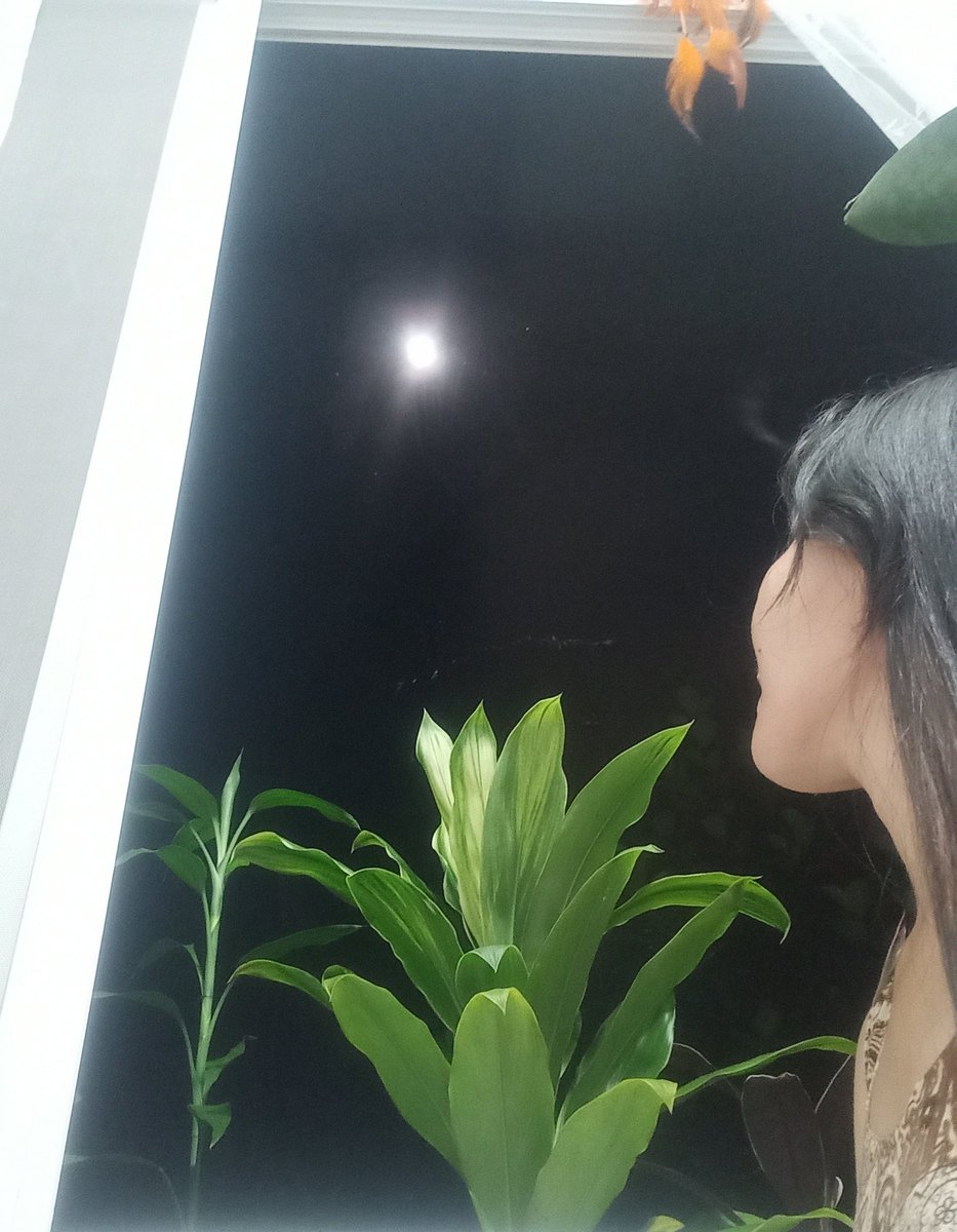 tara_lets_go's tweet photo. Moonshine in my window 🪟🌝 https://t.co/SeLWAqUoMT