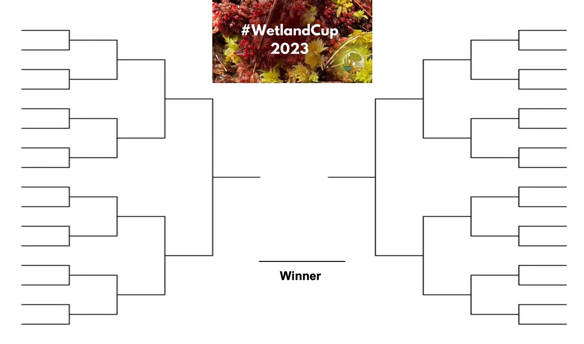 Welcome to the #WetlandCup! There will be 16 wetland types, 8 wetland plants/features and 8 'less serious' categories going head-to-head for you to decide - what is your favourite? There will be a poll each day.  #WorldWetlandsDay