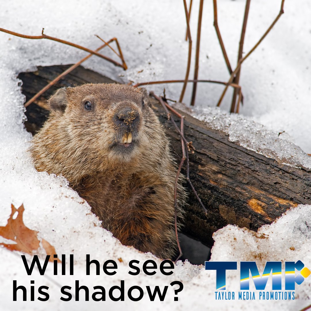 Happy Ground Hog Day! 
Hopefully, the ground hog doesn't see his shadow!
#bringonspring #happygroundhogday