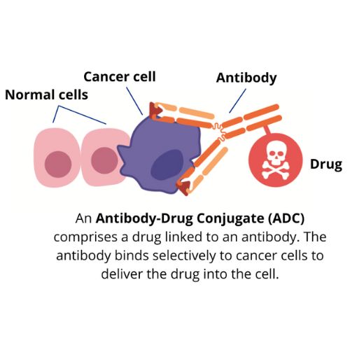 stackwave's tweet image. Singapore’s drug discovery efforts reached a new milestone as EBC-129, the first made-in- Singapore antibody-drug conjugate, was cleared by the US FDA to progress into first-in-human studies. #AntibodyDiscovery