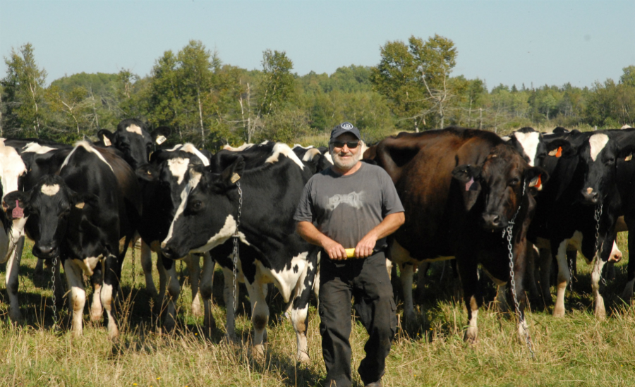 The second ALUS wetland celebrated for #WorldWetlandsDay is the Gallant brother's project from #PEI. Fencing projects and alternative watering systems are good for cows, wildlife and ultimately—the bottom line!

alus.ca/alus_news_and_…

#Restoration #Wetland #Farming #Ag