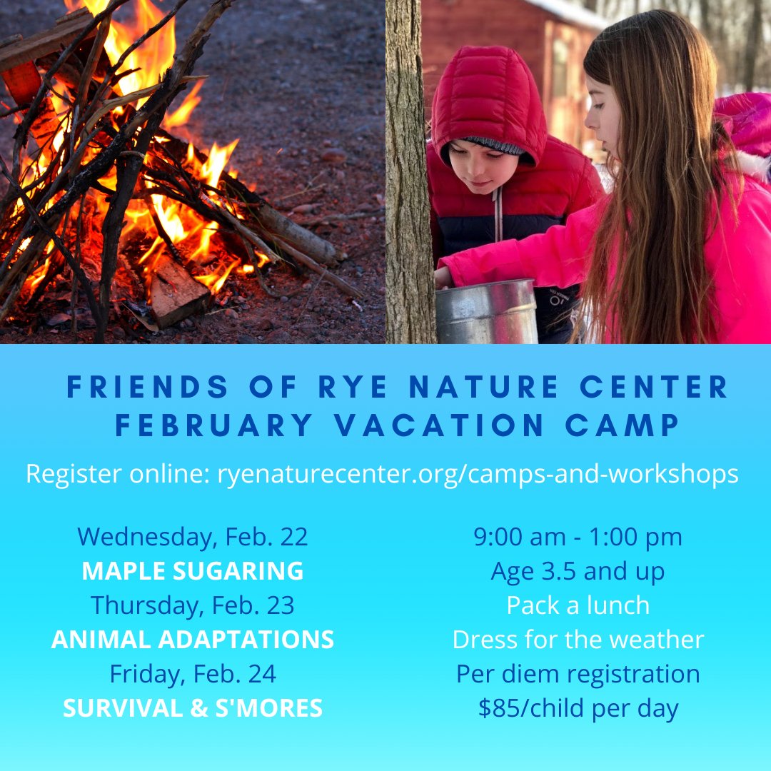 RyeNatureCenter's tweet photo. Join us for a day outdoors at one of our upcoming workshops! Registration begins today, February 2 at 10:00 am. https://t.co/ZlL0rP6EfK https://t.co/crsr0v9A7E
