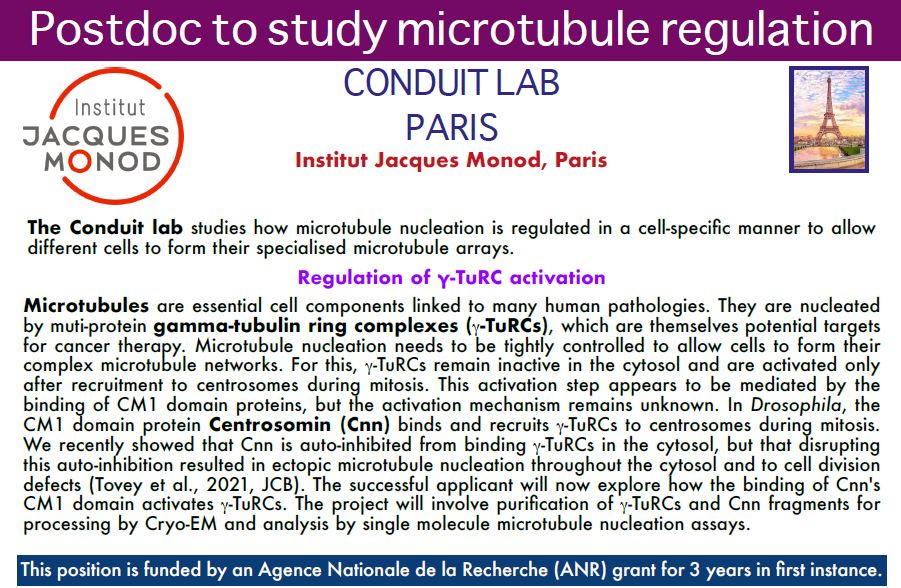 #JobAlert
The <a href="/PaulConduit/">Paul Conduit</a> Lab is recruiting a Postdoc to study microtubule regulation
ijm.fr/postdoc-to-stu…