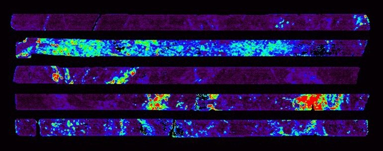 «Fargebilder» finner sjeldne jordartsmetaller! En ny analysemetode bekrefter tidligere funn i kjerner fra to dype boringer i Fensfeltet. Det bidrar til at detaljundersøkelser av de interessante metallene kan gjøres mer nøyaktig 😊
ngu.no/nyheter/%C2%AB…