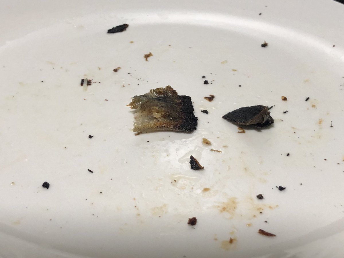 atiatigirl's tweet photo. 途中猫に食われかけたけどなんとか死守して完食。 https://t.co/pZoavkAfcW