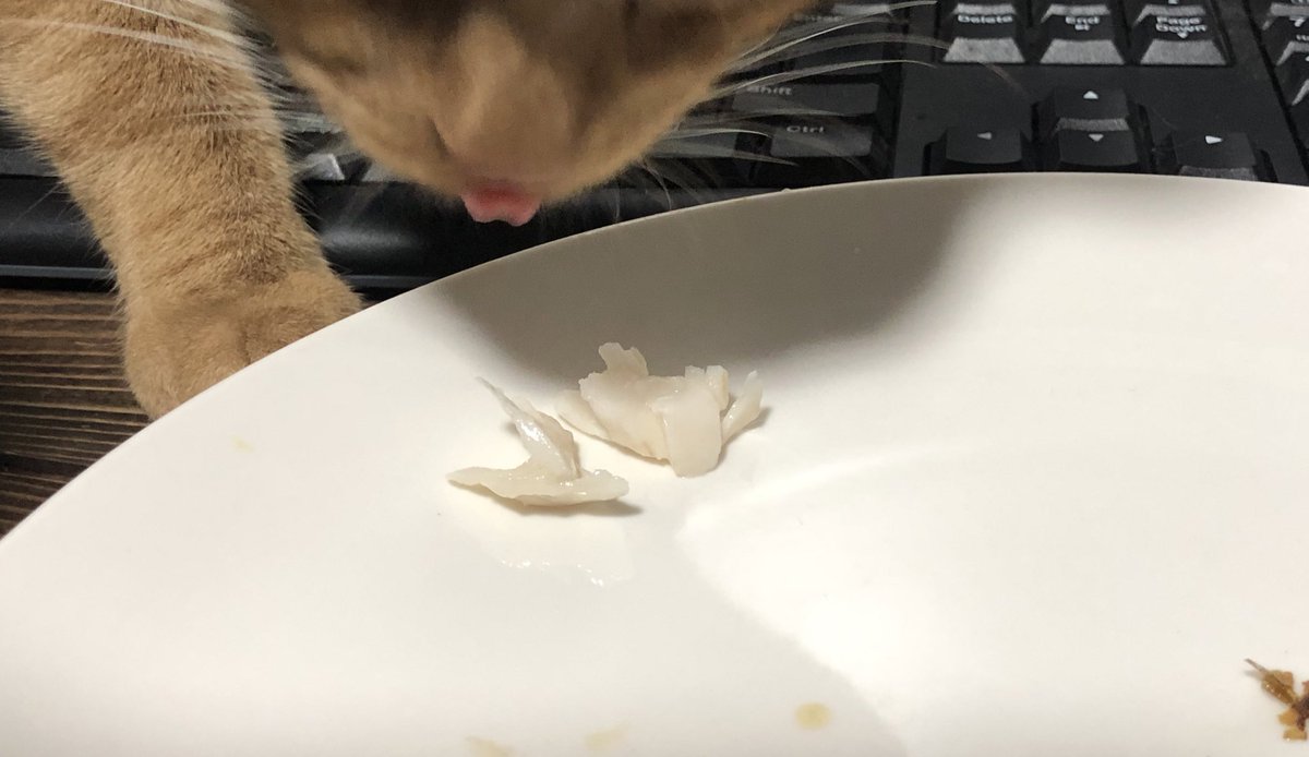 atiatigirl's tweet photo. 途中猫に食われかけたけどなんとか死守して完食。 https://t.co/pZoavkAfcW