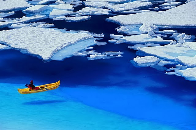 Floating on Blue, Glacier Bay, Alaska #FloatingonBlue #GlacierBay #Alaska biancamacfarlane.com