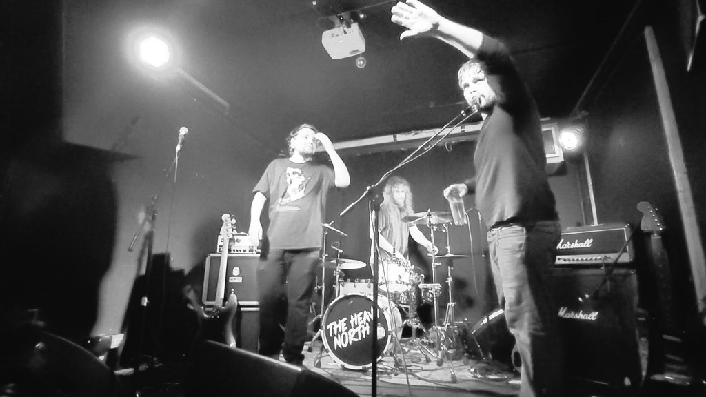 NATIVE TONGUE tweet media