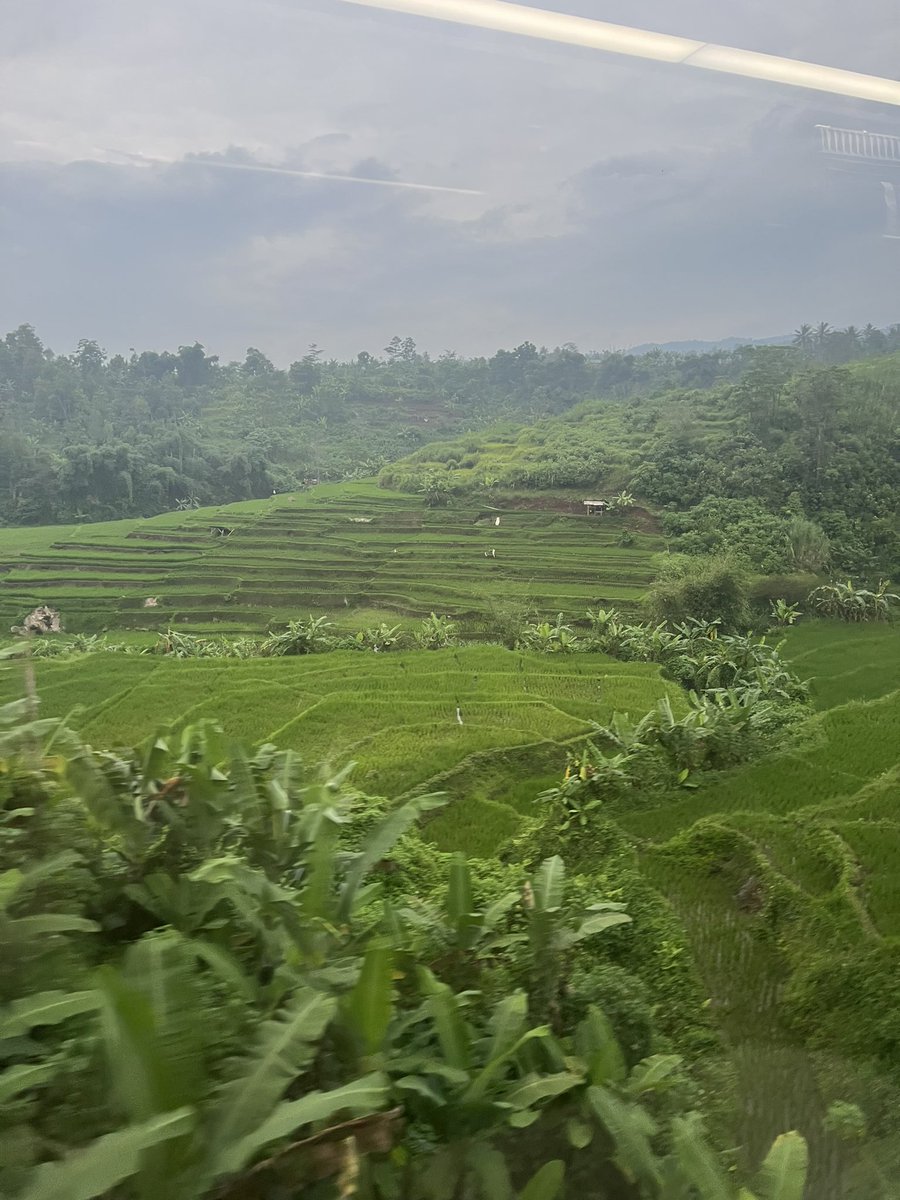 amirrtheartist's tweet photo. currently at indonesia

the motherland of indomie https://t.co/HRkb4tc9XY
