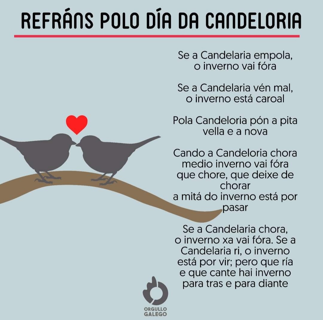 CEIPLAREDO's tweet photo. Hoxe é o Día da Candeloria, importante na tradición galega porque marcaba o principio da fin do inverno. Arredor deste día e do inverno hai numerosos refrán e ditos...cántos coñecedes?
#cuartolaredo
#dinamizacionlaredo
#bibliolaredo https://t.co/RcHunHCxxC