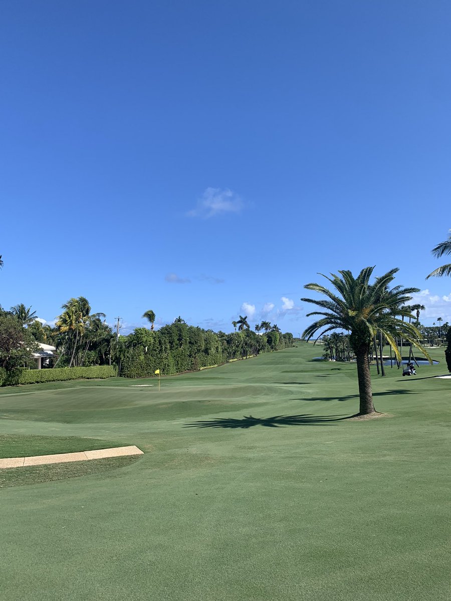 Jack Laws tweet media