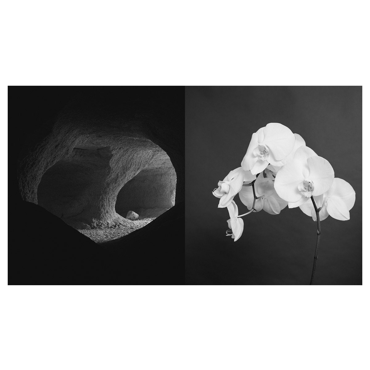 sergioramirezph's tweet image. En ese punto entre el alma y el cuerpo.