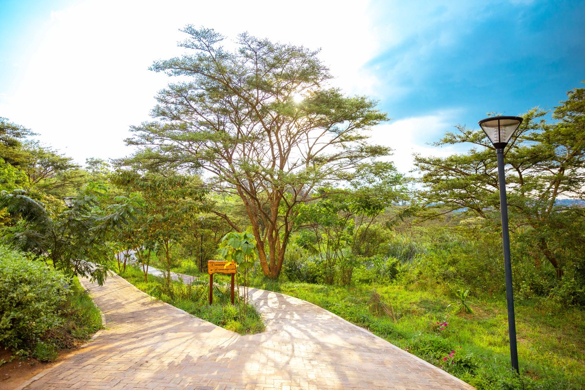 visitrwanda_now's tweet photo. Happy #WorldWetlandsDay!

Kigali’s newly restored urban wetland @nyandungupark offers a space for visitors to explore and learn from nature, and is part of Rwanda’s efforts to harness eco-tourism to restore biodiversity and conserve urban wetland ecosystems.

#VisitRwanda🌿🇷🇼 https://t.co/e2vqtZV2sL