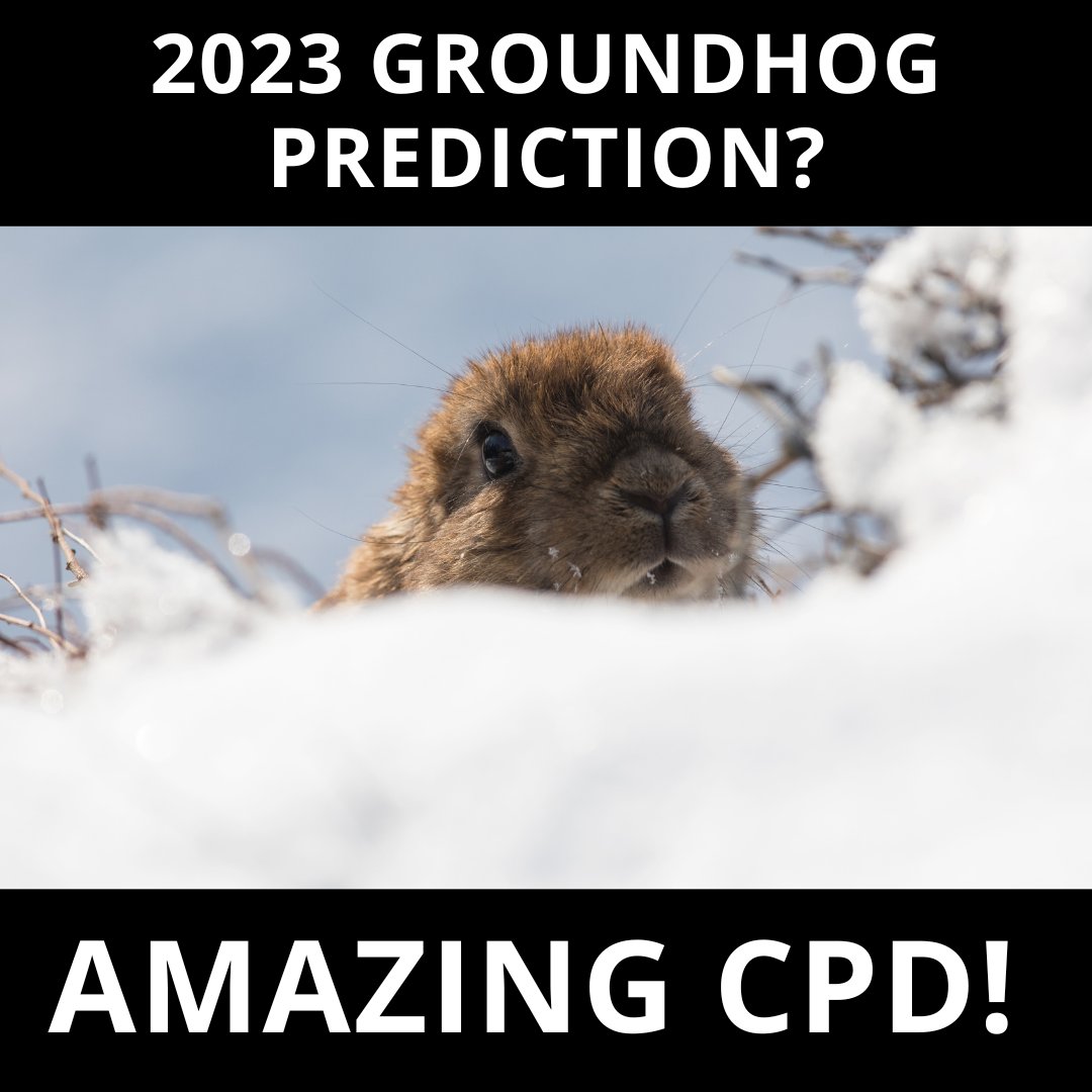 CPD_FHS_QueensU's tweet photo. It's #GroundhogDay2023 and the groundhog has made its prediction! A full season of amazing Continuing Professional Development from @QueensUHealth.
#GetYourCPD - https://t.co/RlHvFZqI4D https://t.co/hzm6jnb4dj