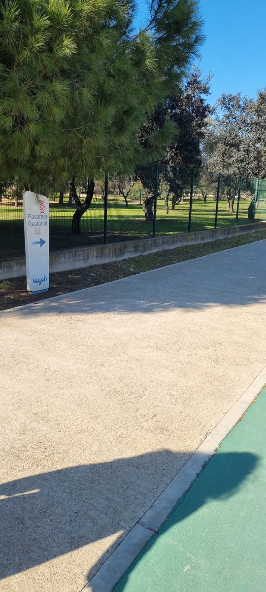 Bea_ctjado's tweet photo. En toda la avda hasta la pasarela no hay ni una sola papelera,soportando q la basura se agolpe en los lados.Sabemos q el guarro es guardó pero @Ayto_Sevilla no lo pongas tan fácil https://t.co/kGb4klW45n