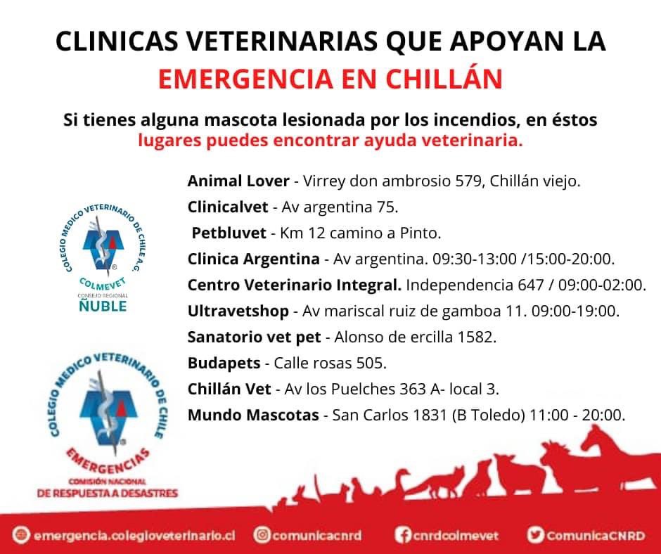 Atención! Clínicas veterinarias q están prestando apoyo a animalitos afectados x incendio #Chillan 👇