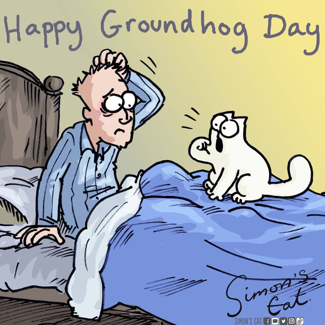 SimonsCat's tweet photo. Everyday is a #GroundhogDay when you have a cat! 🙀  ⏰ https://t.co/7IgvBJhI77
