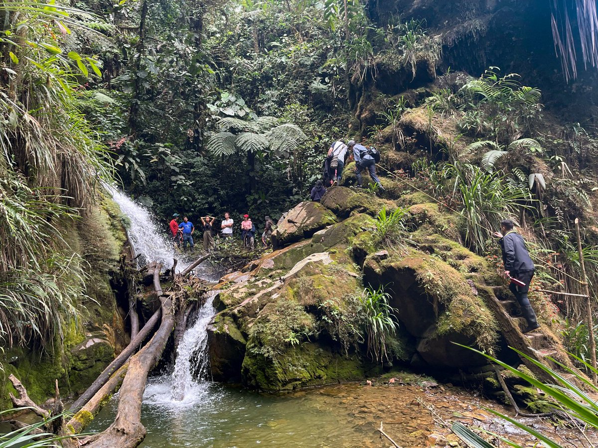 CarlosToisan06's tweet photo. La empresa del pueblo chileno está más cerca que nunca de destruir uno de los lugares más biodiversos y hermosos de nuestro planeta Tierra. Esta en las manos de las cortes y Min del Ambiente del Ecuador evitarlo
@ChileAmbiental @CEDENMA 
#SalvemosIntag
👇
https://t.co/VvNLTrjq8a https://t.co/XCr0XPkXfW