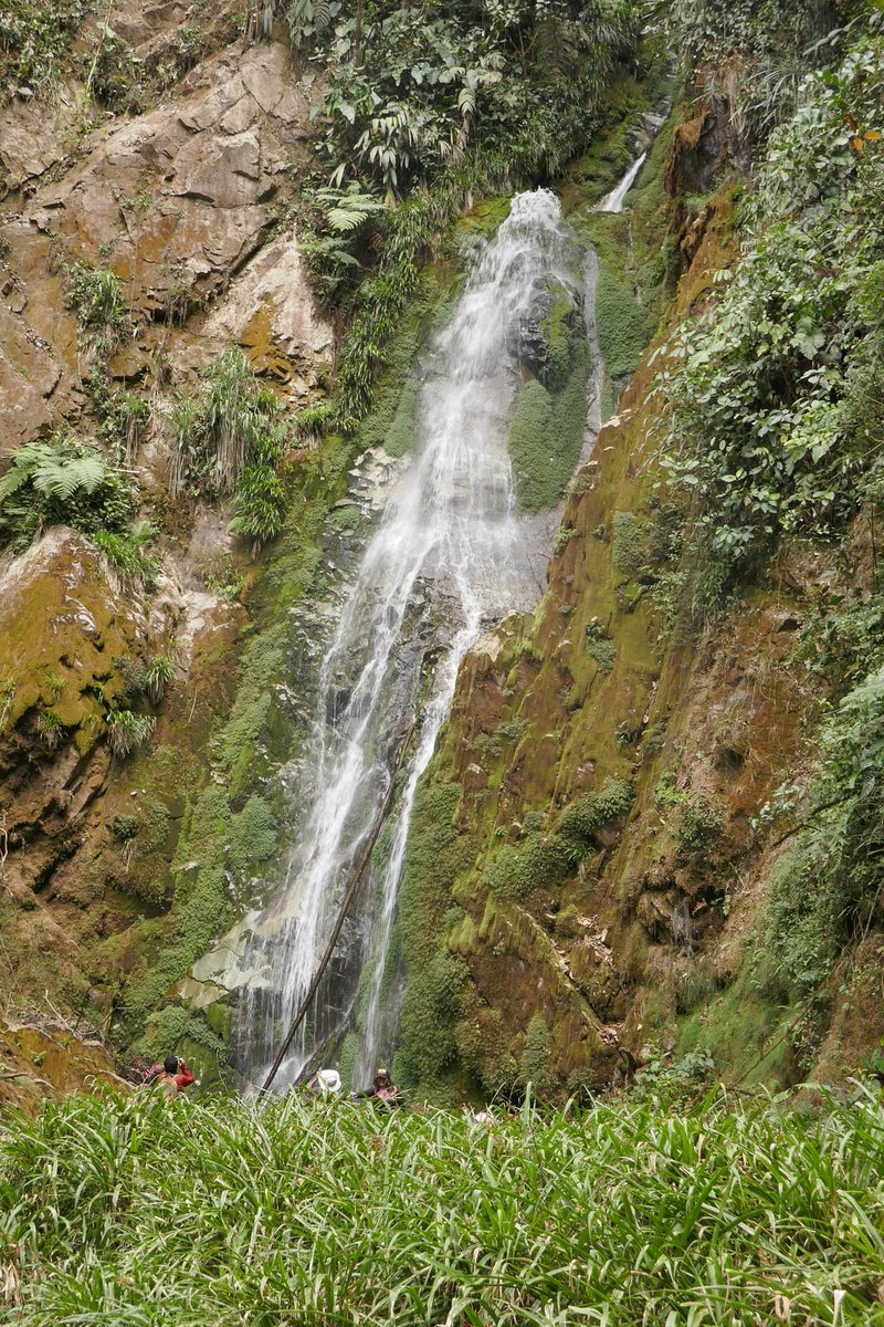 CarlosToisan06's tweet photo. La empresa del pueblo chileno está más cerca que nunca de destruir uno de los lugares más biodiversos y hermosos de nuestro planeta Tierra. Esta en las manos de las cortes y Min del Ambiente del Ecuador evitarlo
@ChileAmbiental @CEDENMA 
#SalvemosIntag
👇
https://t.co/VvNLTrjq8a https://t.co/XCr0XPkXfW