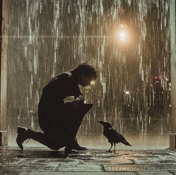 A Conversation With A Crow A Story A Question A Lesson A Thread