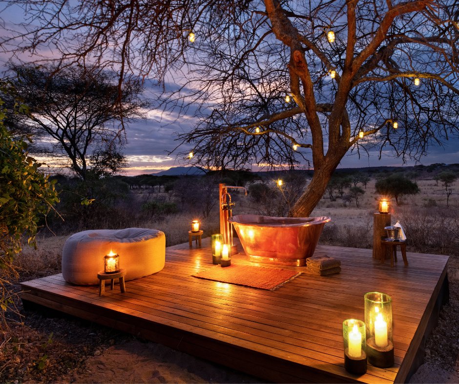 An African safari honeymoon is undoubtedly one of the most memorable trips you'll share with your forever adventure partner, and our staff is always delighted to help you create lasting memories. ❤️ Click the link and let's start planning. 🔗 : ow.ly/ANcL50MHuSj