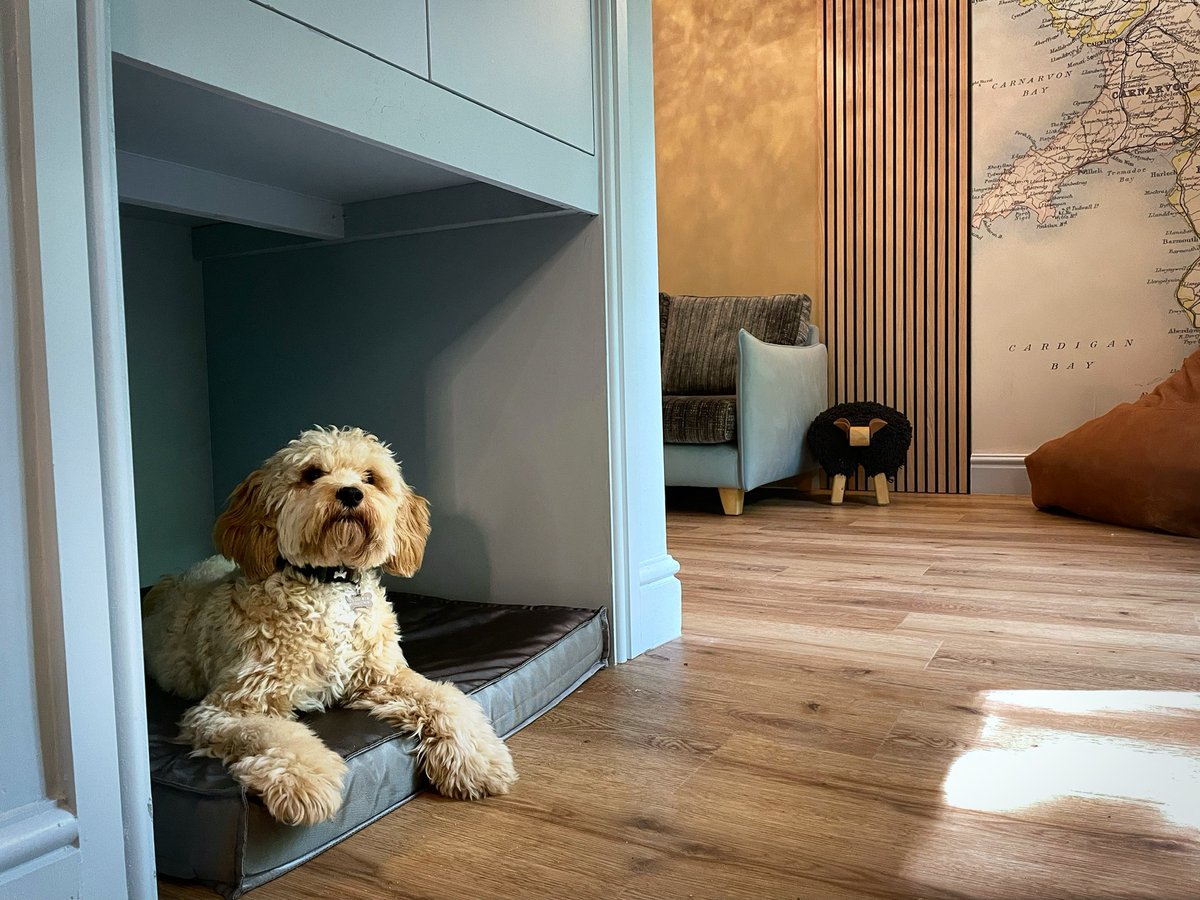 WeAcceptPets's tweet photo. Waterloo Hotel in the charming village of Betws-y-Coed offers comfortable accommodation, delicious cuisine, modern bar and leisure complex.
https://t.co/5Rnk3dXW2x
#BetwsyCoed #Snowdonia #Conwy #Hotel #Charming #Comfortable #ModernBar #LeisureComplex #DogsWelcome @WaterlooBetws https://t.co/UCI1lRwYL9