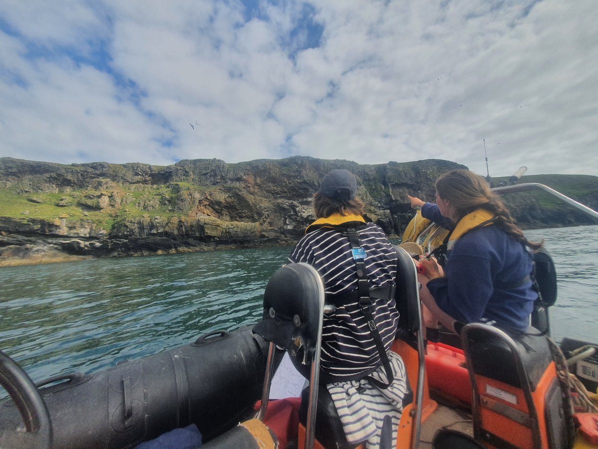 Skomer Island (@skomer_island) on Twitter photo We're recruiting! 📢 Do you have experience of #seabird monitoring and survey techniques? 👀 Are you self-motivated and adaptable? Happy to live in a small, isolated community? 🧑🤝🧑
For more on our Seabird #FieldWorker role ☞ welshwildlife.org/jobs/skomer-se…
<a href="/WTSWW/">WildlifeTrustSWWales 🦡🐬</a> <a href="/TheSeabirdGroup/">The Seabird Group</a> We're recruiting! 📢 Do you have experience of #seabird monitoring and survey techniques? 👀 Are you self-motivated and adaptable? Happy to live in a small, isolated community? 🧑🤝🧑
For more on our Seabird #FieldWorker role ☞ welshwildlife.org/jobs/skomer-se…
<a href="/WTSWW/">WildlifeTrustSWWales 🦡🐬</a> <a href="/TheSeabirdGroup/">The Seabird Group</a>