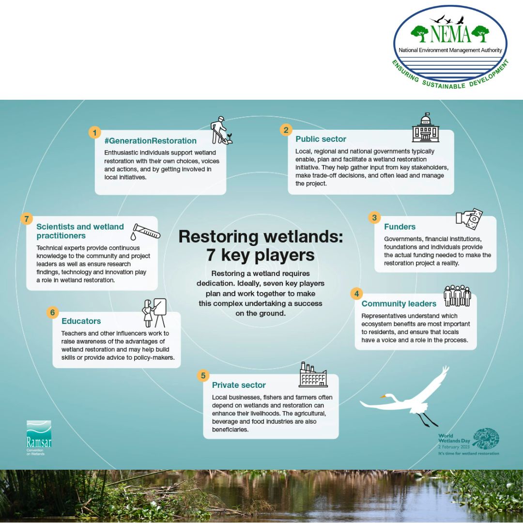 There are 7 main benefits of restoration which include increasing the biological diversity, replenishing & supplying water, carbon storage a critical role in climate change, flood & storm water control, improved livelihood etc #MWEworks #WorldWetlandsDay