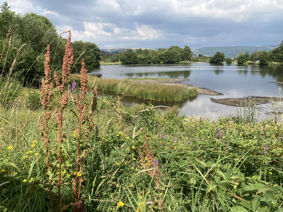 NPositiviteaPod's tweet photo. Happy #WorldWetlandsDay2023 ! Wetlands are such great habitats for a range of plants and animals, and great places for us to see this wildlife 😍🦫🌱 https://t.co/9OffzkumWk