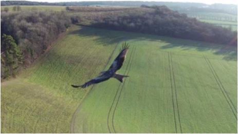 Spring approaching .. time to hit the trails and enter a nice 10k race <a href="/chiltern_chase/">The Chiltern Chase</a> 
Sunday 11th June 2023.
The best course around register.enthuse.com/ps/event/Chilt… #runningclubs #oxon #Oxfordshire #Oxford