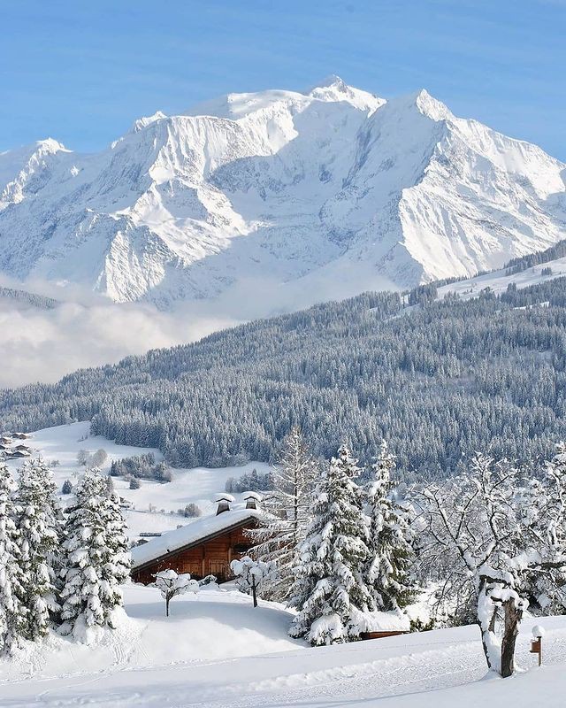 Good afternoon please 🤍❄️💙