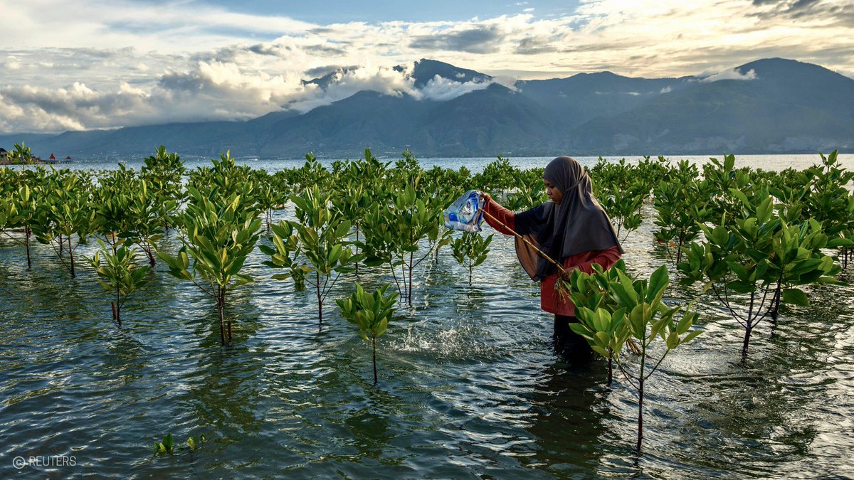 volker_turk's tweet photo. Hopeful for the planet with creation of future #SciencePolicyPanel to manage waste & #BeatPollution globally. Proud to lead my Office as we push to put #humanrights at its core:
✅participation of most affected
✅science & citizens' right to info
✅checks on corporate interests https://t.co/DfZAtwuEK7