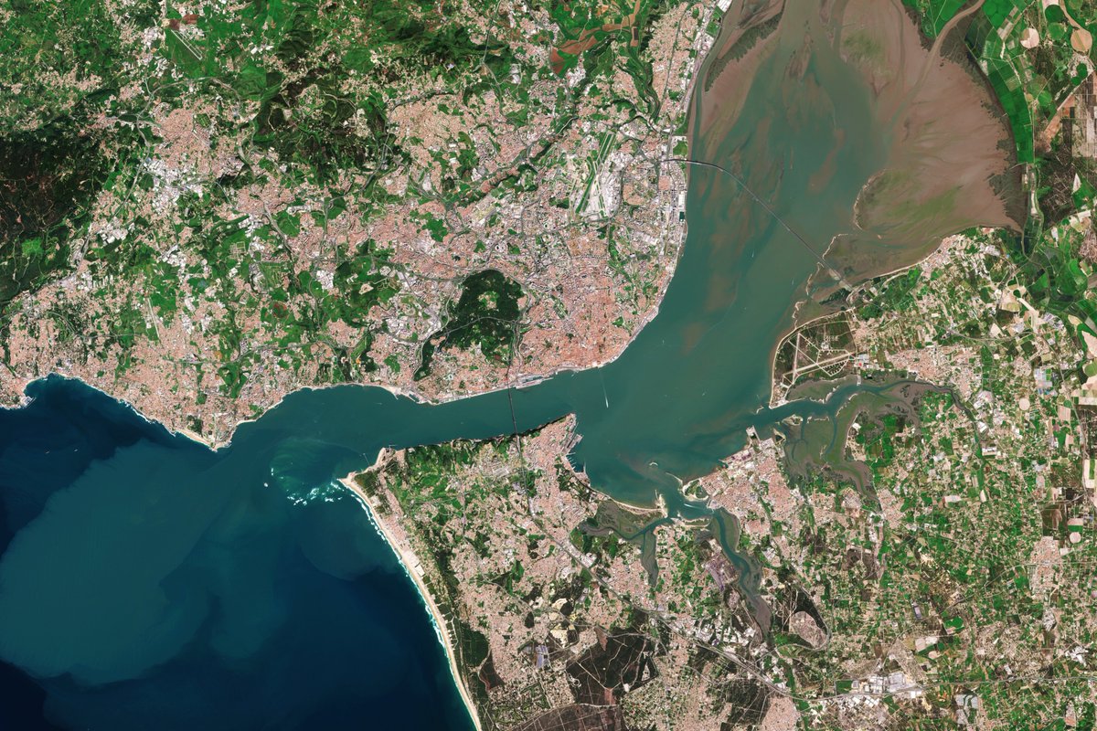 ESA_EO's tweet photo. Today we celebrate #WorldWetlandsDay 💧

Wetlands are land areas where water is the primary factor controlling the environment and associated plant and animal life. 
There are currently over 2000 Ramsar Sites around the world🌏 https://t.co/nv3fVTrAcK