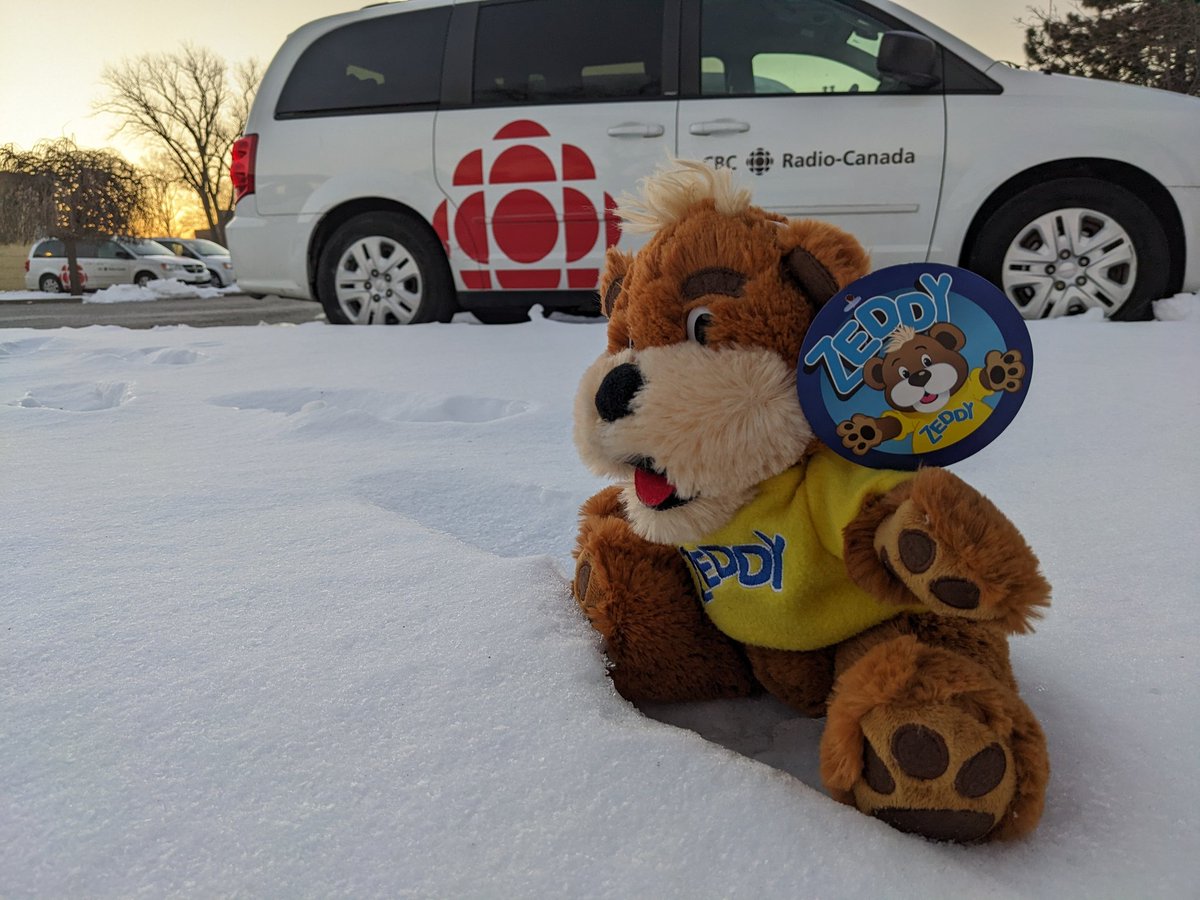 At sunrise in Windsor at 7:45 this morning, <a href="/kerribreen/">Kerri Breen</a> 's vintage Zeddy Bear saw his shadow, signifying 6 more weeks of winter. It was the furriest willing forecaster I could find.