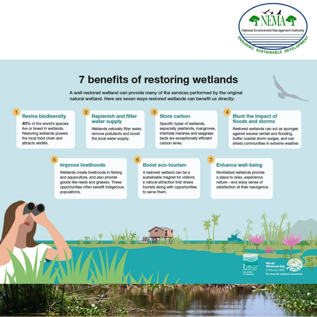 A well restored wetland can provide many of the services performed by the original natural wetland. #MWEworks #WorldWetlandDay