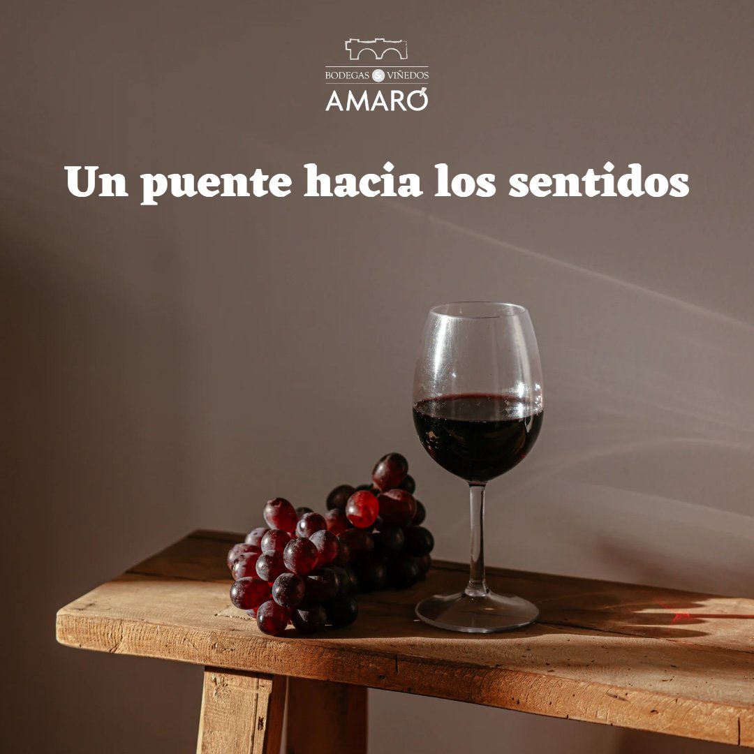 AmaroBodegas's tweet photo. Amaró - 𝑼𝒏 𝒑𝒖𝒆𝒏𝒕𝒆 𝒉𝒂𝒄𝒊𝒂 𝒍𝒐𝒔 𝒔𝒆𝒏𝒕𝒊𝒅𝒐𝒔 https://t.co/XOyiaMjGrz