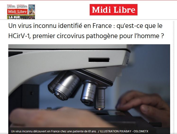 loindevant's tweet image. Le consortium labos an co nous sort un nouveau virus et devinez comment ils l'ont appelé ?
#Circovirus si si 😜
Les antidotes Pinderna et Zavatizer sont déjà dans les refregirafeurs ..
#Idiocracy #Comorbid19