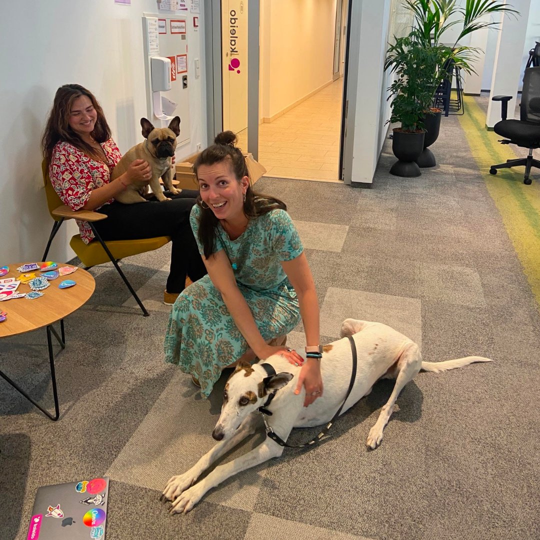 Did you know that Kaleido’s office is pup-friendly? 🐶💼 We love four-legged visitors! We have designated areas for our furry friends and there is a dog policy in place to make sure everyone (including our dogs) is comfortable🙌 

#dogfriendlyoffice #Kaleido #happinessatwork