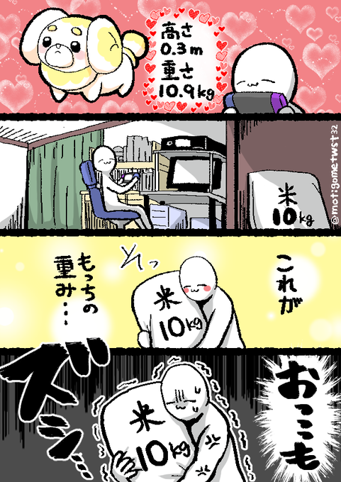 スーパーで10キロの米を見るたびに「パピモッチ…」って思ってる 